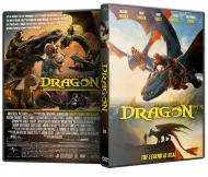 DVD : How To Train Your Dragon DVD