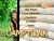 Adult DVD - 8teenboy.com : Camp Twink DVD