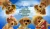 Disney DVD : Air Buddies DVD