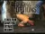 Adult DVD : Cazzo Films - Original Options DVD