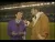 BBC DVD : Harry Enfield & Chums Series 2 DVD