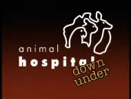 BBC Archive : Animal Hospital : Down Under Digital Download