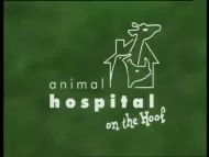 BBC Archive : Animal Hospital : On The Hoof Digital Download