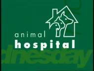 BBC Archive : Animal Hospital : Series 16 Digital Download