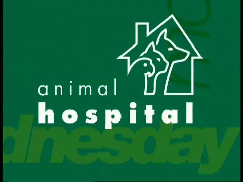 BBC Archive : Animal Hospital : Series 11 Digital Download