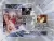 Adult DVD : Evasive Angles - Orgy World - The Next Level 9 DVD