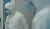 Channel 4 DVD - 24 Hours In Police Custody The Murder of Jane Doe DVD