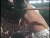Sports DVD : WWF Royal Rumble 2000 DVD